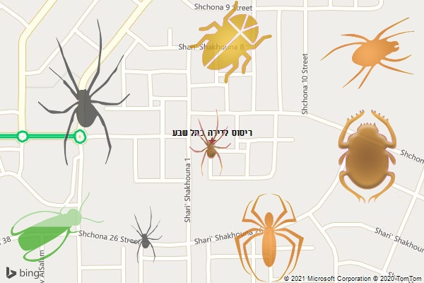ריסוס לדירה בתל שבע