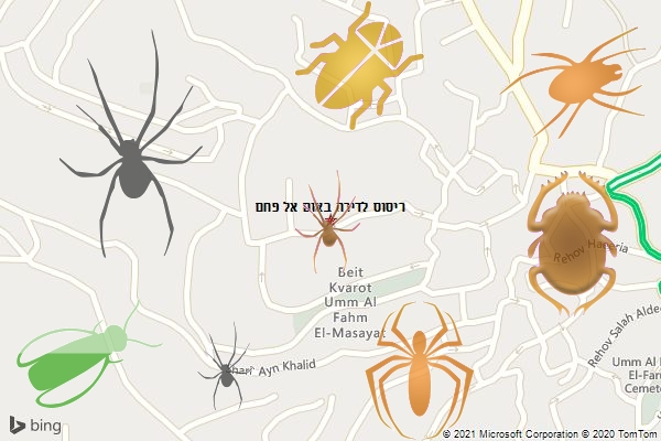 ריסוס לדירה באום אל פחם