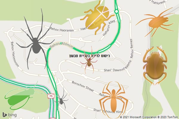 ריסוס לדירה בקריית טבעון
