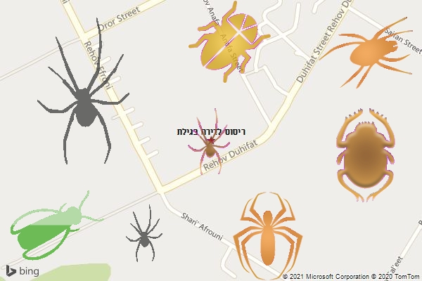 ריסוס לדירה בגילת