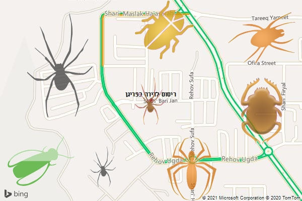 ריסוס לדירה בפריגן