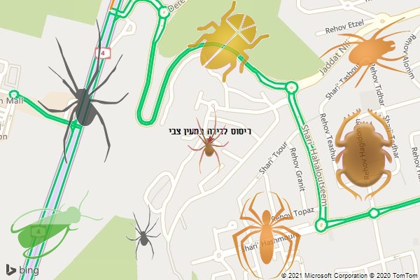ריסוס לדירה במעין צבי