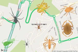 שירות ריסוס במעין צבי - ריסוס לדירה במעין צבי