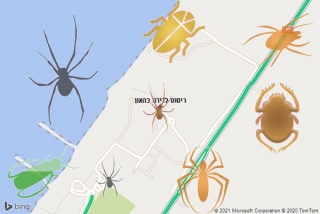 שירות ריסוס בהאון - ריסוס לדירה בהאון