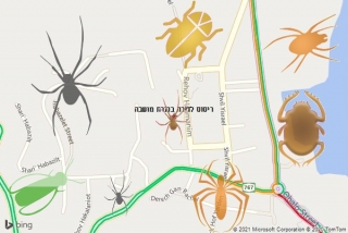 שירות ריסוס בכנרת מושבה - ריסוס לדירה בכנרת מושבה
