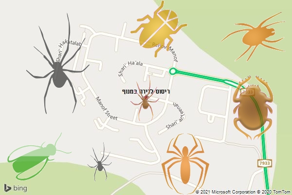 ריסוס לדירה במנוף