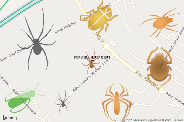 ריסוס לדירה בנווה ימין