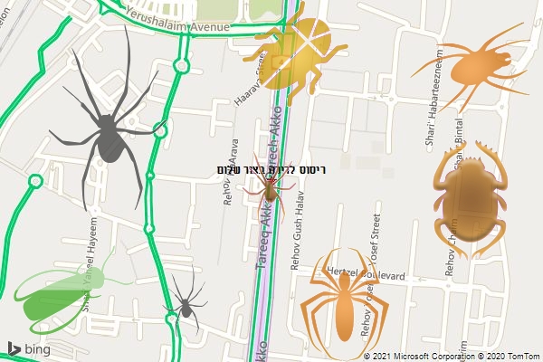 ריסוס לדירה בצור שלום