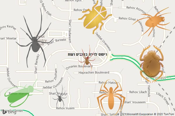 ריסוס לדירה במכבים רעות