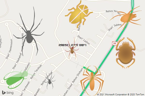 ריסוס לדירה בספסופה
