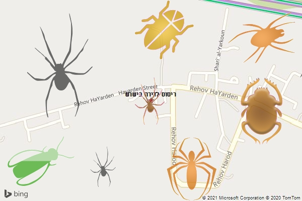 ריסוס לדירה בישרש