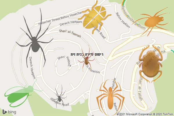 ריסוס לדירה בבית זית