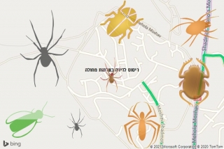 שירות ריסוס בשדמות מחולה - ריסוס לדירה בשדמות מחולה