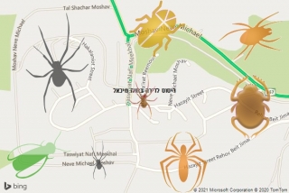 שירות ריסוס בנווה מיכאל - ריסוס לדירה בנווה מיכאל