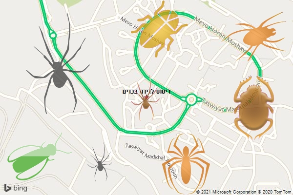 ריסוס לדירה בכדים