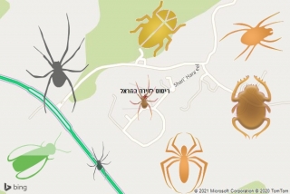 שירות ריסוס בהראל - ריסוס לדירה בהראל