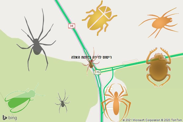 ריסוס לדירה בצומת האלה