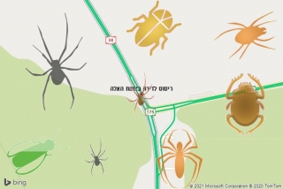 שירות ריסוס בצומת האלה - ריסוס לדירה בצומת האלה