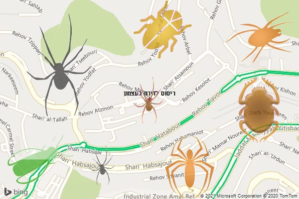ריסוס לדירה בעצמון