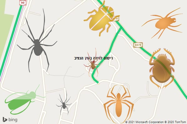 ריסוס לדירה בעין הנציב
