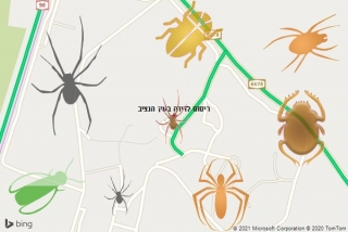 שירות ריסוס בעין הנציב - ריסוס לדירה בעין הנציב