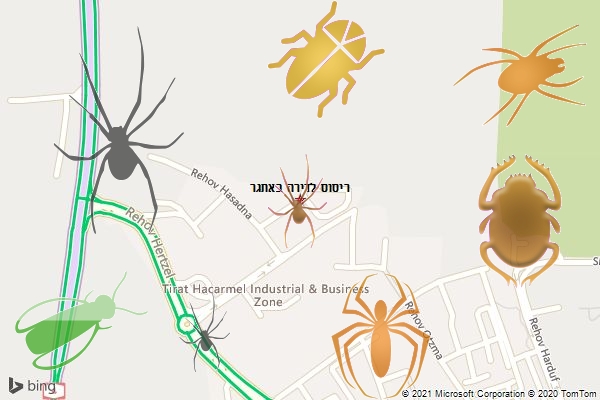 ריסוס לדירה באתגר