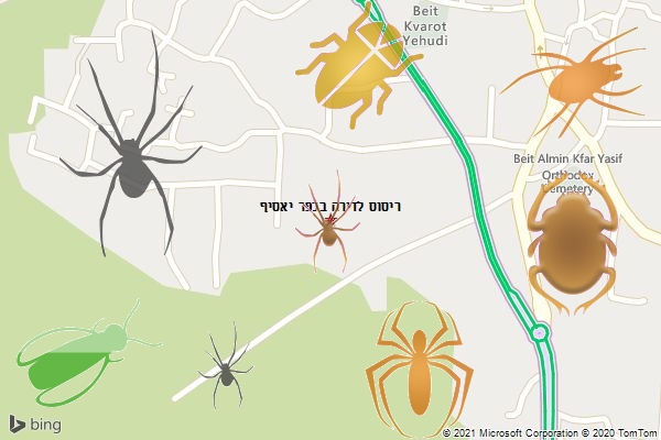 ריסוס לדירה בכפר יאסיף