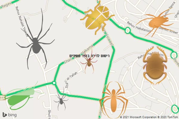 ריסוס לדירה בכפר חסידים