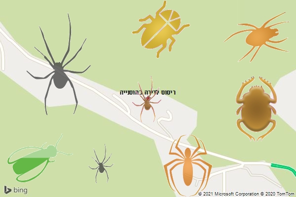 ריסוס לדירה בחוסנייה