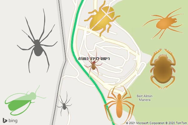 ריסוס לדירה במנרה