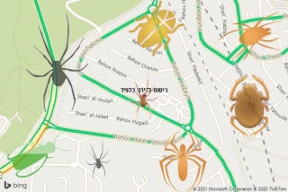 שירות ריסוס בלפיד - ריסוס לדירה בלפיד