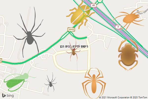 ריסוס לדירה בבית רבן