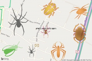  בכפר ביאליק - ריסוס לדירה בכפר ביאליק