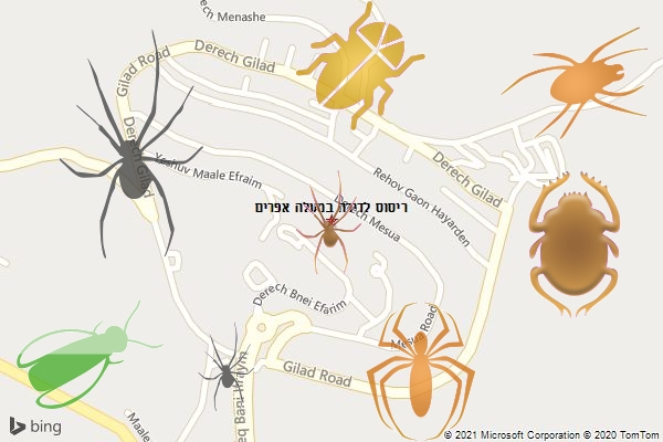 ריסוס לדירה במעלה אפרים