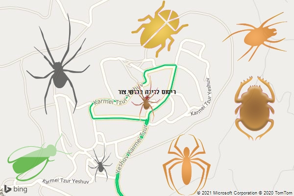 ריסוס לדירה בכרמי צור
