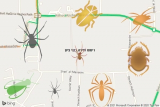 שירות ריסוס בבני ציון - ריסוס לדירה בבני ציון
