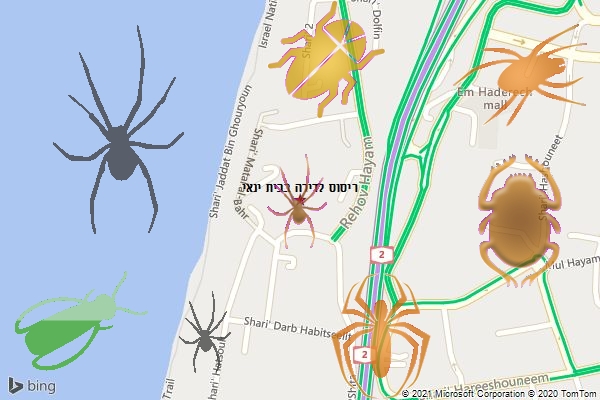 ריסוס לדירה בבית ינאי