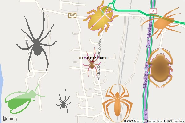 ריסוס לדירה בדור