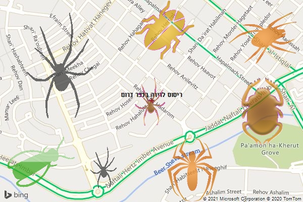ריסוס לדירה בכפר דרום