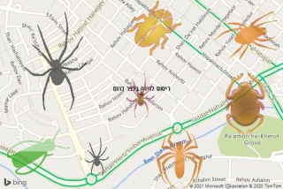 שירות ריסוס בכפר דרום - ריסוס לדירה בכפר דרום