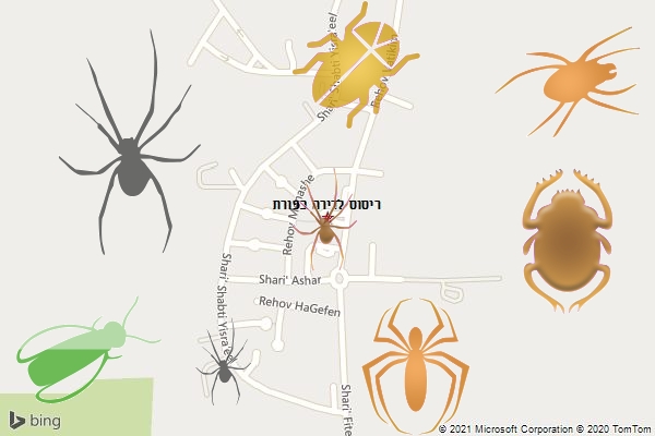 ריסוס לדירה בפורת