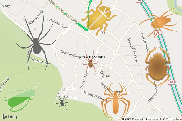 ריסוס לדירה ביגור