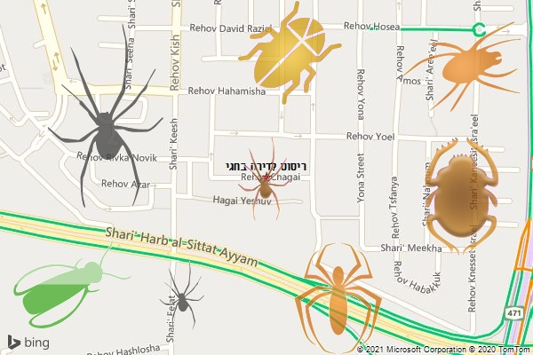 ריסוס לדירה בחגי