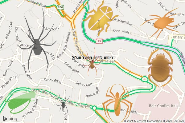 ריסוס לדירה במרכז הגליל