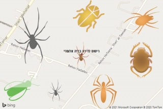 שירות ריסוס בבית אלעזרי - ריסוס לדירה בבית אלעזרי