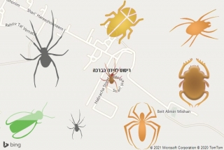 שירות ריסוס בברכה - ריסוס לדירה בברכה