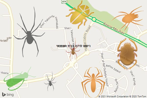 ריסוס לדירה בבית חשמונאי