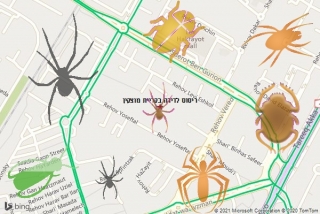 שירות ריסוס בקריית מוצקין - ריסוס לדירה בקריית מוצקין