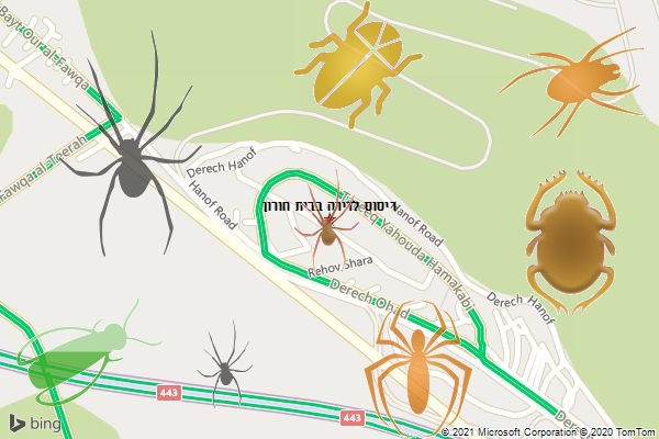 ריסוס לדירה בבית חורון
