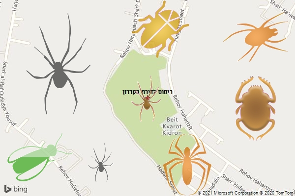 ריסוס לדירה בקדרון